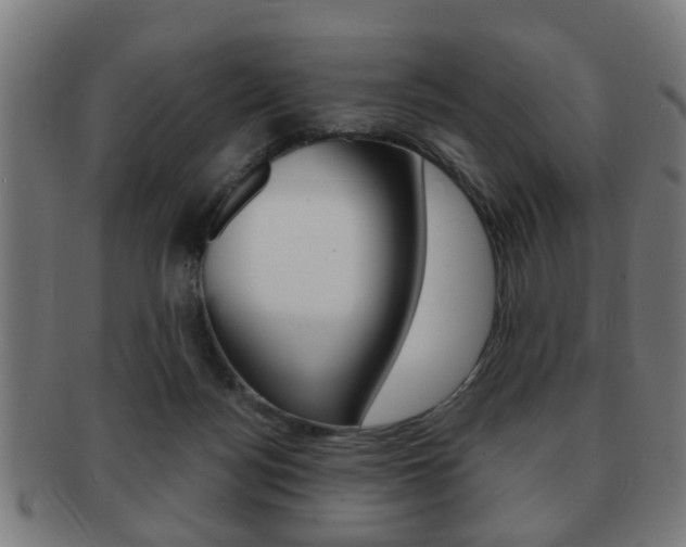 X0000091910172200709051218