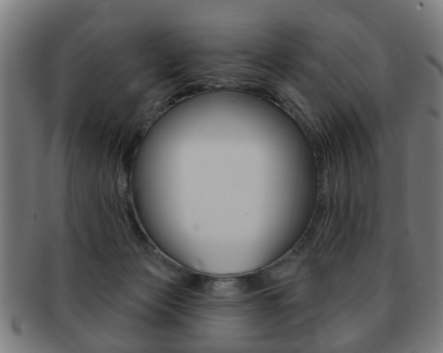X0000091910173200709051218