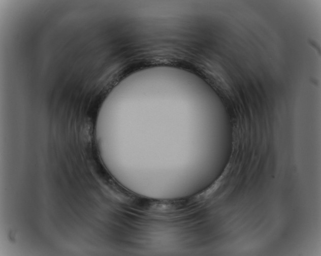 X0000091910174200709051218