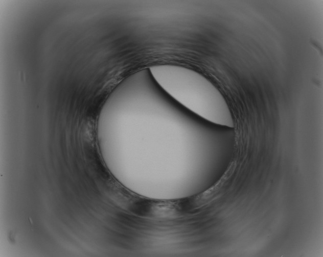 X0000091910175200709051218