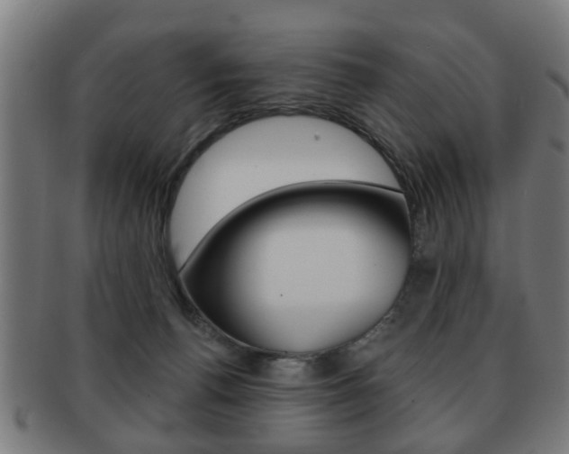 X0000091910176200709051218