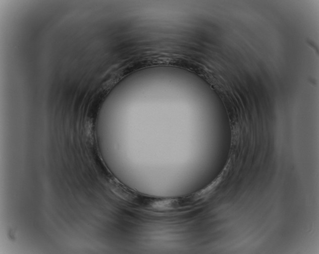 X0000091910178200709051218