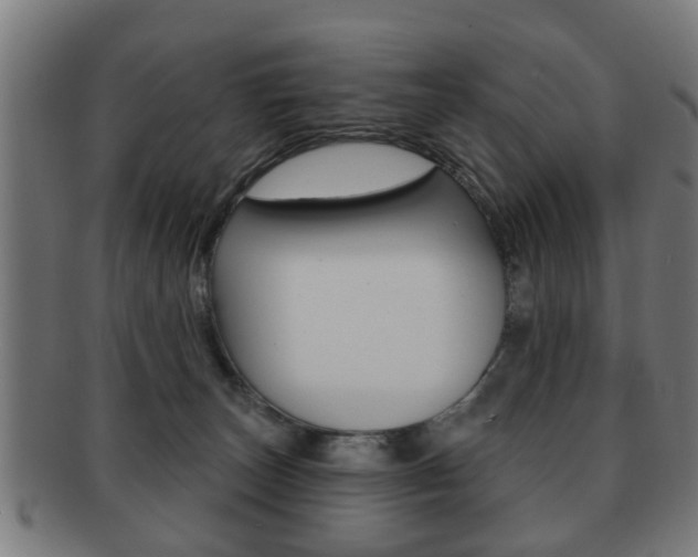 X0000091910179200709051218