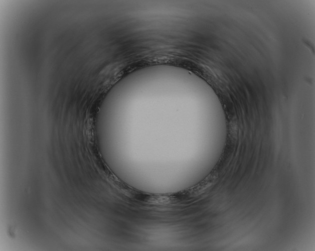 X0000091910181200709051218