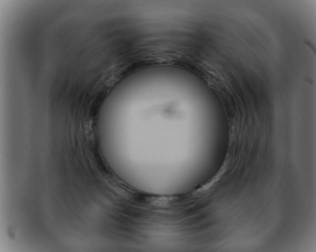 X0000091910182200709051219