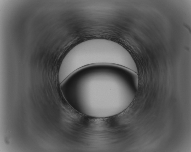 X0000091910184200709051219