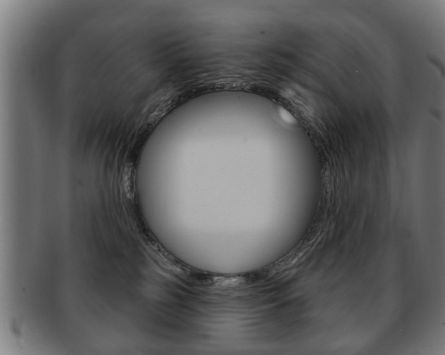 X0000091910185200709051219