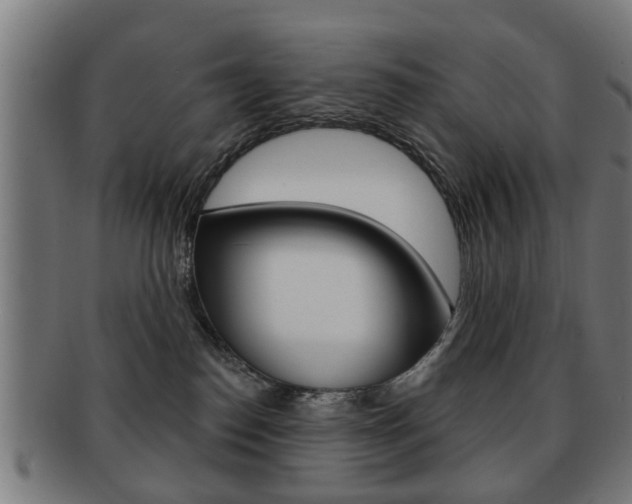 X0000091910186200709051219