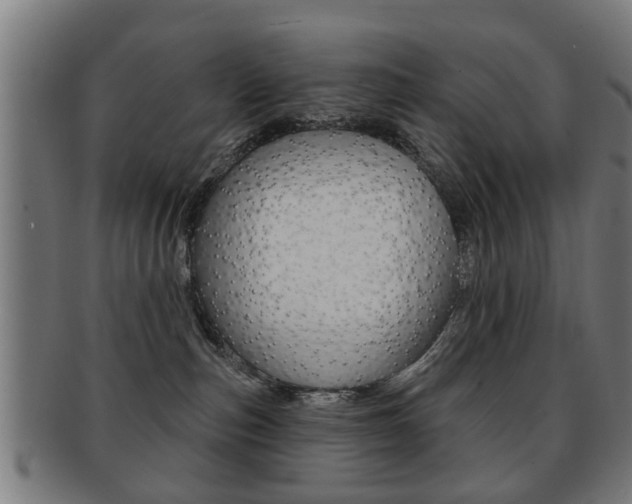 X0000091910187200709051219