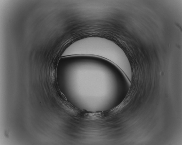 X0000091910188200709051219
