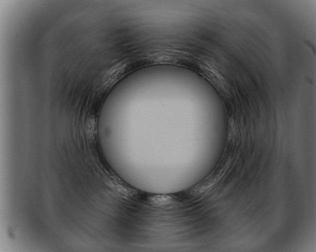 X0000091910189200709051219