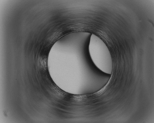 X0000091910190200709051219