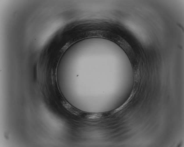 X0000091910191200709051219