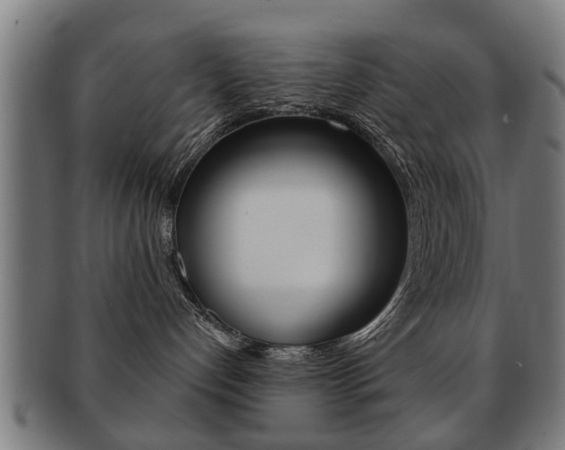 X0000091910192200709051219