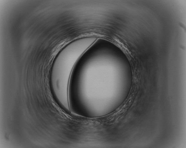 X0000091910193200709051218