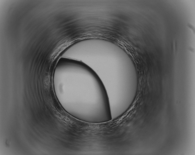 X0000091910194200709051218