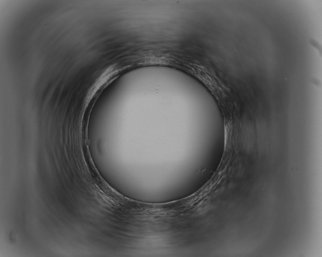 X0000091910195200709051218