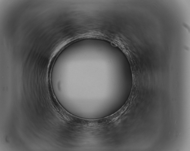 X0000091910196200709051218