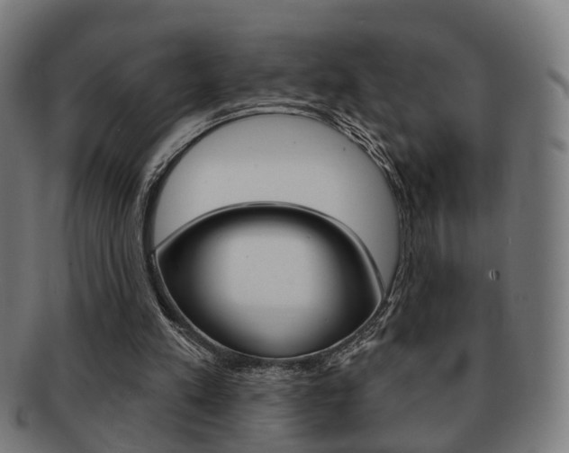 X0000091910197200709051218