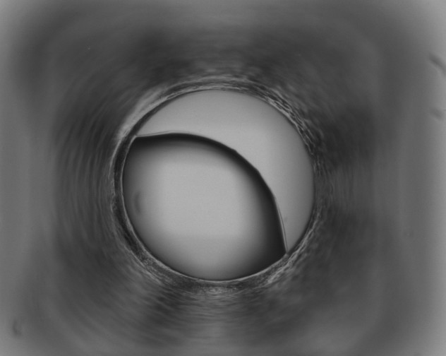 X0000091910198200709051218