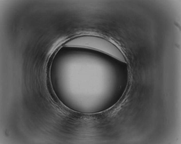 X0000091910199200709051218