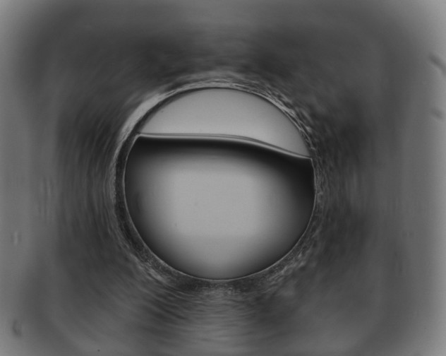 X0000091910200200709051218