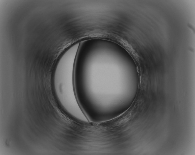 X0000091910201200709051218