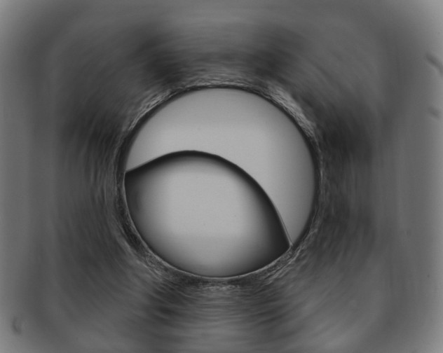 X0000091910202200709051218