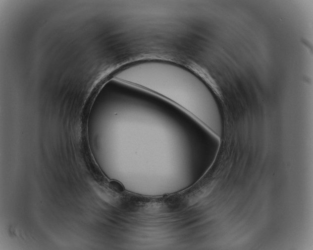 X0000091910204200709051218