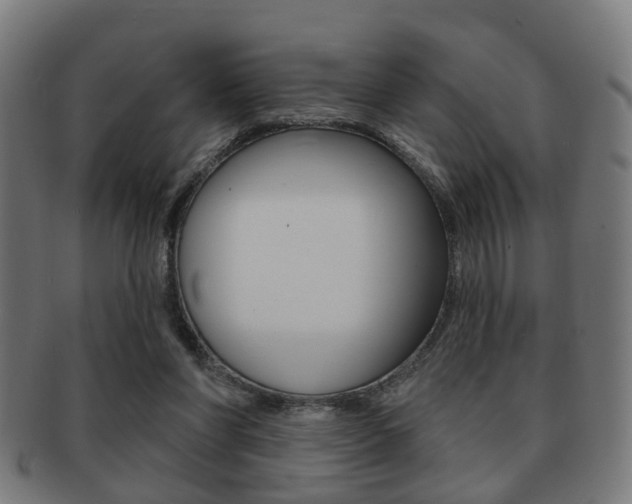 X0000091910206200709051218