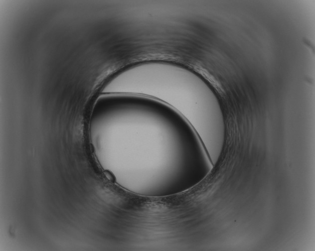 X0000091910207200709051218