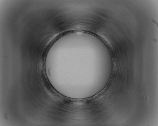 X0000091910208200709051218