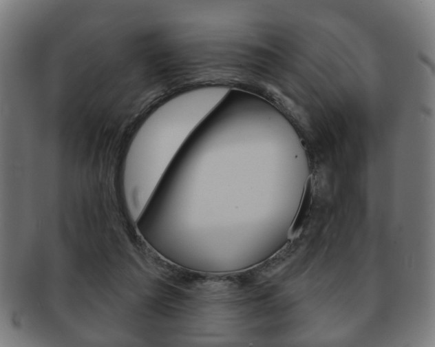 X0000091910209200709051218