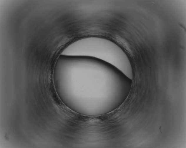 X0000091910210200709051218