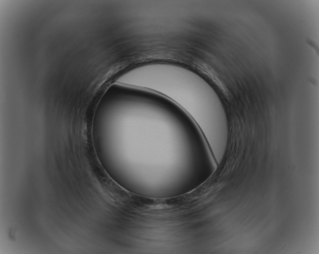 X0000091910212200709051218