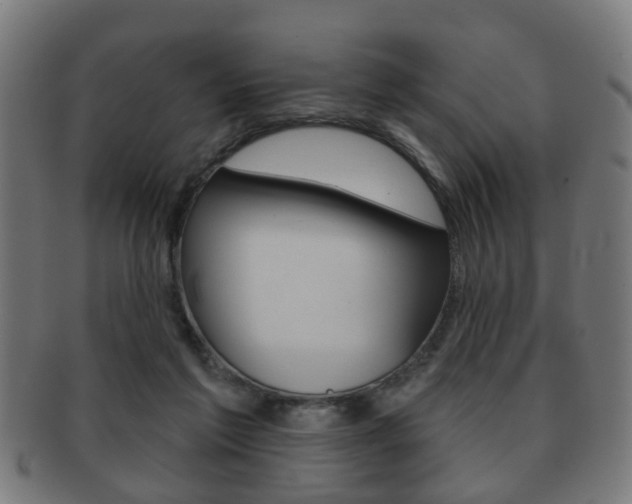 X0000091910213200709051218