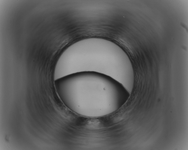X0000091910214200709051218