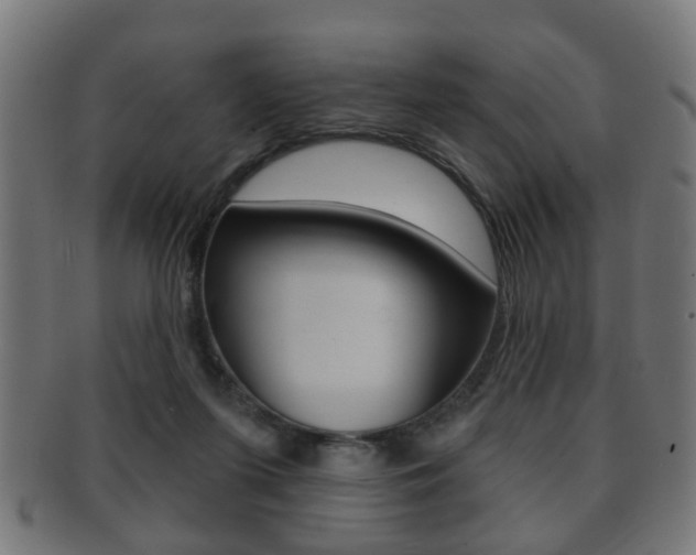 X0000091910215200709051218