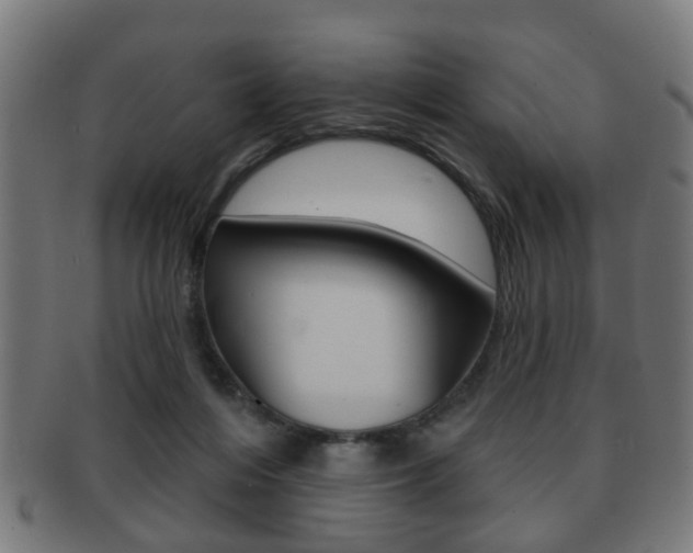 X0000091910216200709051218