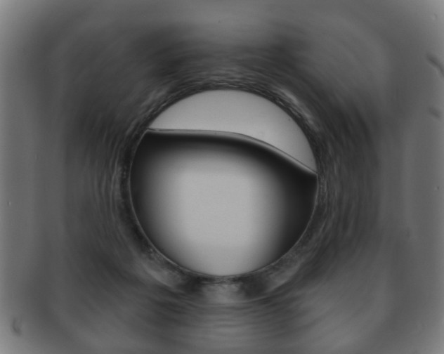 X0000091910217200709051218