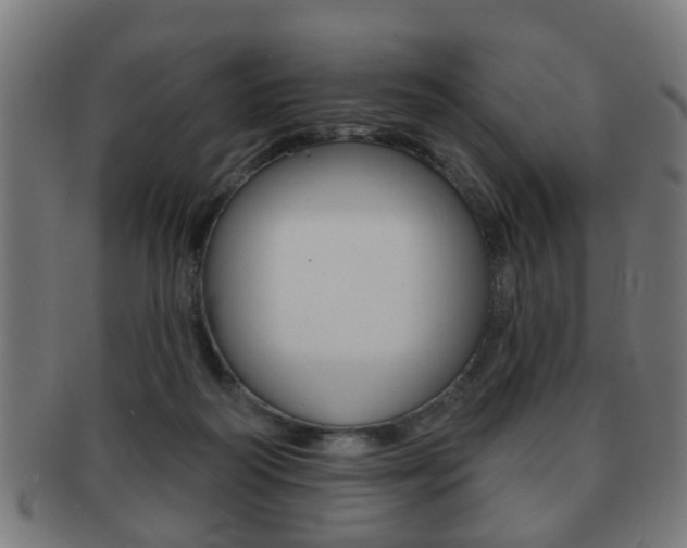 X0000091910218200709051218