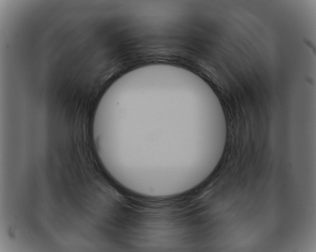 X0000091910219200709051218