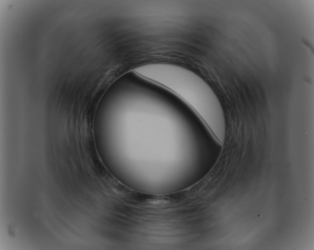 X0000091910220200709051218