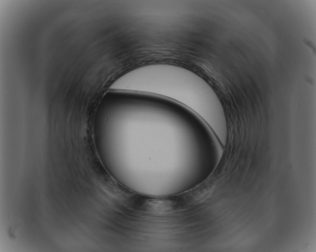 X0000091910221200709051218