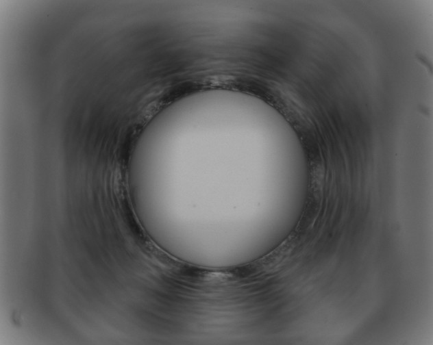 X0000091910222200709051218