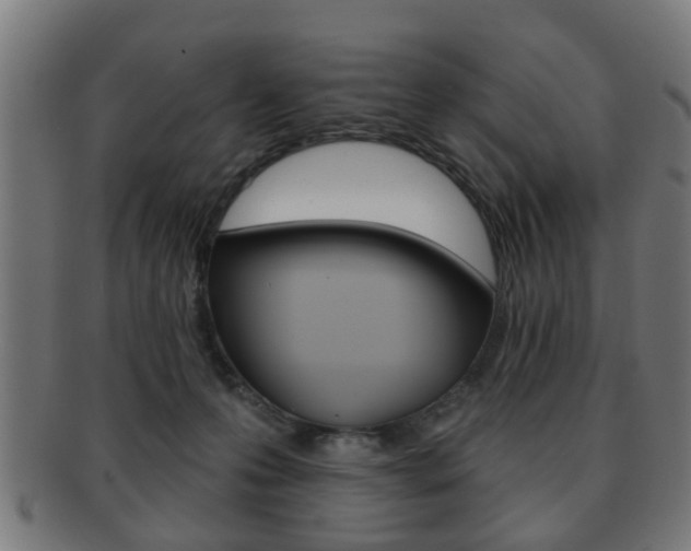 X0000091910223200709051218
