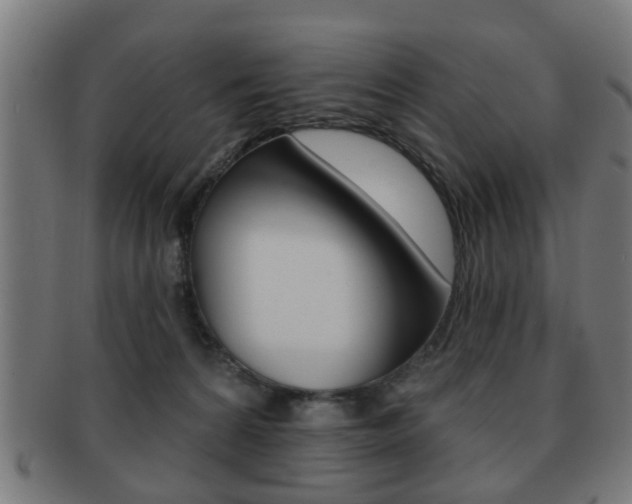 X0000091910224200709051218