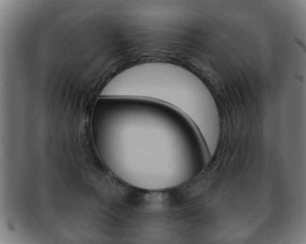 X0000091910225200709051217