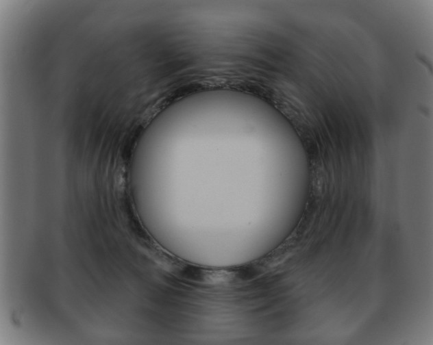 X0000091910226200709051217