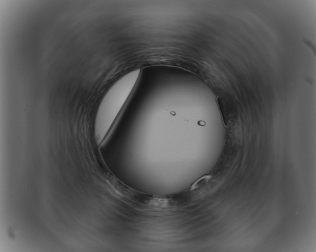 X0000091910227200709051217